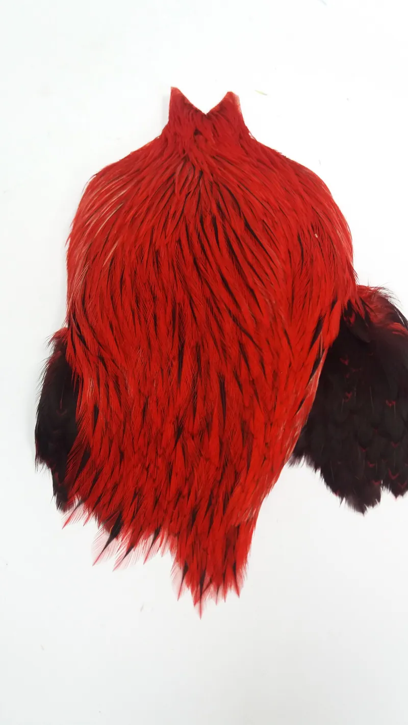The Lakeland Brahma Rooster Cape in Silver Badger Dyed Red  from Whiting Farms-4